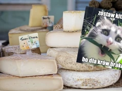Francja: susza tak dopiekła rolnikom i krowom, że trzeba było zmienić normy żywienia i produkcji serów
