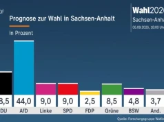 Sukces AfD. Pierwsze sondażowe wyniki wyborów w Saksonii-Anhalt