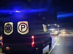 Zderzenie z dzikim zwierzęciem na DK-50. Uszkodzone auto, poszkodowani i ruch wahadłowy