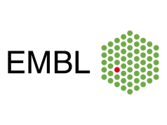 Czy w Polsce powstanie ośrodek EMBL?