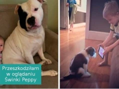 Jeśli sądzisz, że twoje dziecko nie potrzebuje psa, to te zdjęcia mogą cię przekonać