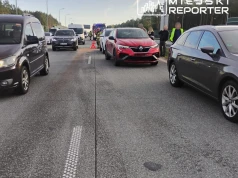 Karambol pięciu aut na S2 w Warszawie. Przez trasę przechodziły dziki