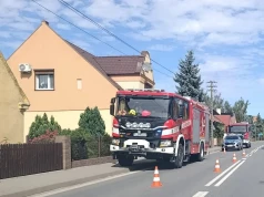 Interwencja strażaków na posesji. Mieszkaniec chciał samemu to usunąć
