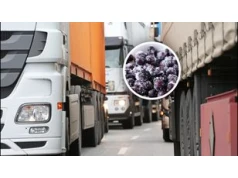 Zatrzymali transport z Ukrainy. Oto co miało trafić do Polski