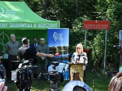 Powstał nowy rezerwat pod Warszawą. Dolina Rzeki Małej zachwyca