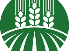 Po zbiorze kukurydzy czas na resztki pożniwne. Jak skutecznie je rozdrobnić?