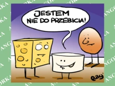 Naukowcy wybrali najlepsze źródło białka. Tofu pokonało mięso i sery