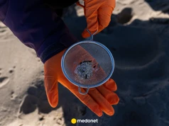Uczeni odkryli, jak działa mikroplastik. Ostrzegają przed efektem konia trojańskiego