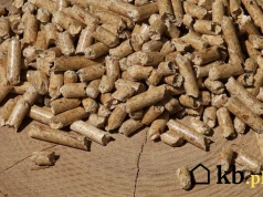 450 tysięcy gospodarstw domowych i zaledwie 1,17 mln ton produkcji. Polski rynek pelletu zderzył się ze ścianą