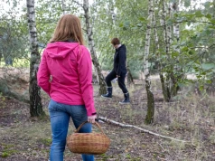 Grzybiarze przecierają oczy. Ten „Amerykanin” pojawia się w polskich lasach