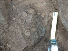 Srebrny skarb epoki wikingów. Największe takie znalezisko w Finlandii