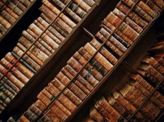 W ubiegłym roku 20,5 mln pobrań artykułów i rozdziałów z Wirtualnej Biblioteki Nauki