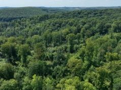 Blisko 800 hektarów pod ochroną. Na Śląsku powstało pięć nowych rezerwatów