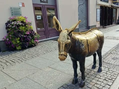 Toruński osiołek wygląda niewinnie. Dawniej oznaczał ból i publiczne upokorzenie