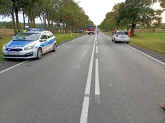 Jeleń zderzył się z trzema autami na drodze krajowej nr 48. Na miejscu pracują policjanci
