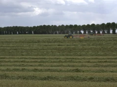 Plany ogólne mogą zamknąć drogę do budowy na wsi. Eksperci proponują zmiany