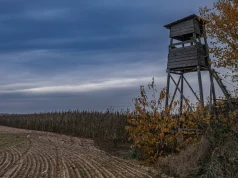 Pomylił żołnierza z szopem. Myśliwy trafi do więzienia
