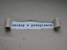 Zużyty olej z restauracji trafi do SENT. Od 31 października nowe obowiązki przy przewozie