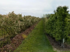 990 litrów biopreparatów za pierwsze miejsce. Trwa konkurs AGRO-SORB