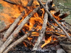 Rozpalasz ognisko na działce? W ROD i na własnej posesji obowiązują inne zasady