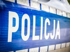 Przyznał się do skatowania psa. Jego tłumaczenie zaskakuje