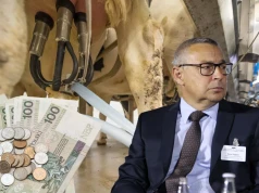 Ceny mleka szorują po dnie, a rolnicy zwiększają produkcję. Jak długo wytrzyma rynek?