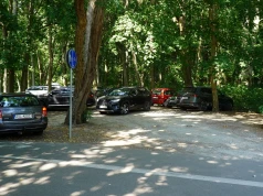 Gdzie zostawić samochód przed wejściem do lasu? Nie każde miejsce nadaje się do parkowania