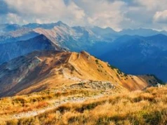 Ta roślina barwi Tatry na czerwono. I trzyma zbocza w ryzach