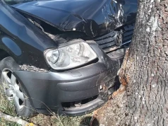 Poważne zdarzenie na lokalnej drodze. Przeszkodą stało się przydrożne drzewo