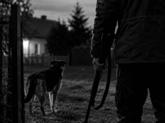 Zastrzelił psa, przyznał się do winy. Policja będzie szukać broni