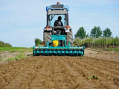 Jedna maszyna do sadu i plantacji jagodowej – sadownik zdradza, dlaczego ją wybrał