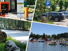 Sekwoje, parkingi i system opłat. Jakub Dąbek odsłania tajemnicę pniaków na Sosinie