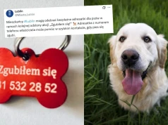 Lublin ponawia akcję rozdawania adresatek dla psów, bo oszczędza stresu ludziom i zwierzętom
