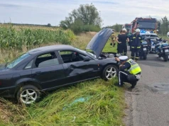 Pijana 35-latka dachowała pod Krężną. Miała prawie 3 promile alkoholu