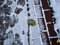 Co naprawdę niszczy kostkę brukową? Mróz jest dopiero na trzecim miejscu