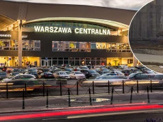 Łoś na torach kolejowych, sparaliżował ruch na stacji Warszawa Centralna