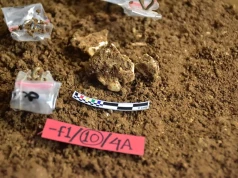 Pradawni ludzie odurzali się z wykorzystaniem tej substancji. Naukowcy odkryli najstarsze dowody