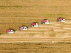 Globalne ceny żywności ponownie poszły w górę. Zbliża się koniec spożywczej deflacji