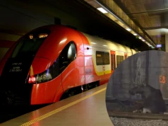 Wielki łoś zablokował ruch kolejowy. Położył się na torach w Warszawie