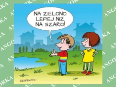 Holendrzy wyrywają kostkę z chodników. Tak walczą ze zmianami klimatu