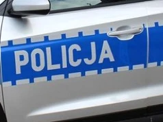 Bliskie spotkanie z jeleniem na obwodnicy Wielunia!