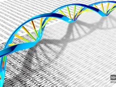 Ekspansja Słowian już od II wieku? Nowa metoda analizy DNA pokazuje, co niewidoczne