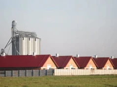 Lex Smród. Rząd chce pomóc fermom przemysłowym, odbierając prawa mieszkańcom wsi