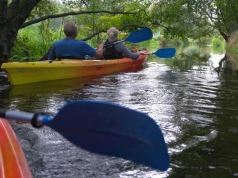 Kryształowa woda i dzika natura. Oto najczystsze rzeki w Polsce