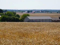 Rolnik kontra nowy sąsiad. Dwa projekty mają zakończyć wojny na wsi