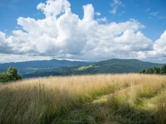 Beskidy: poprawiły się warunki na szlakach turystycznych; są dobre