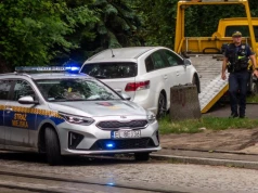 Straż miejska może dać 3000 zł mandatu. Nowe przepisy już działają