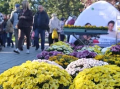 Jesienny Targ na Plantach