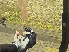 Rajd hulajnogą zakończony na zaparkowanym aucie. Rzeszowska policja szuka “mistrza kierownicy”