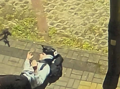 Hulajnoga uderzyła w zaparkowanego Hyundaia. Policja szuka dwóch nastolatków